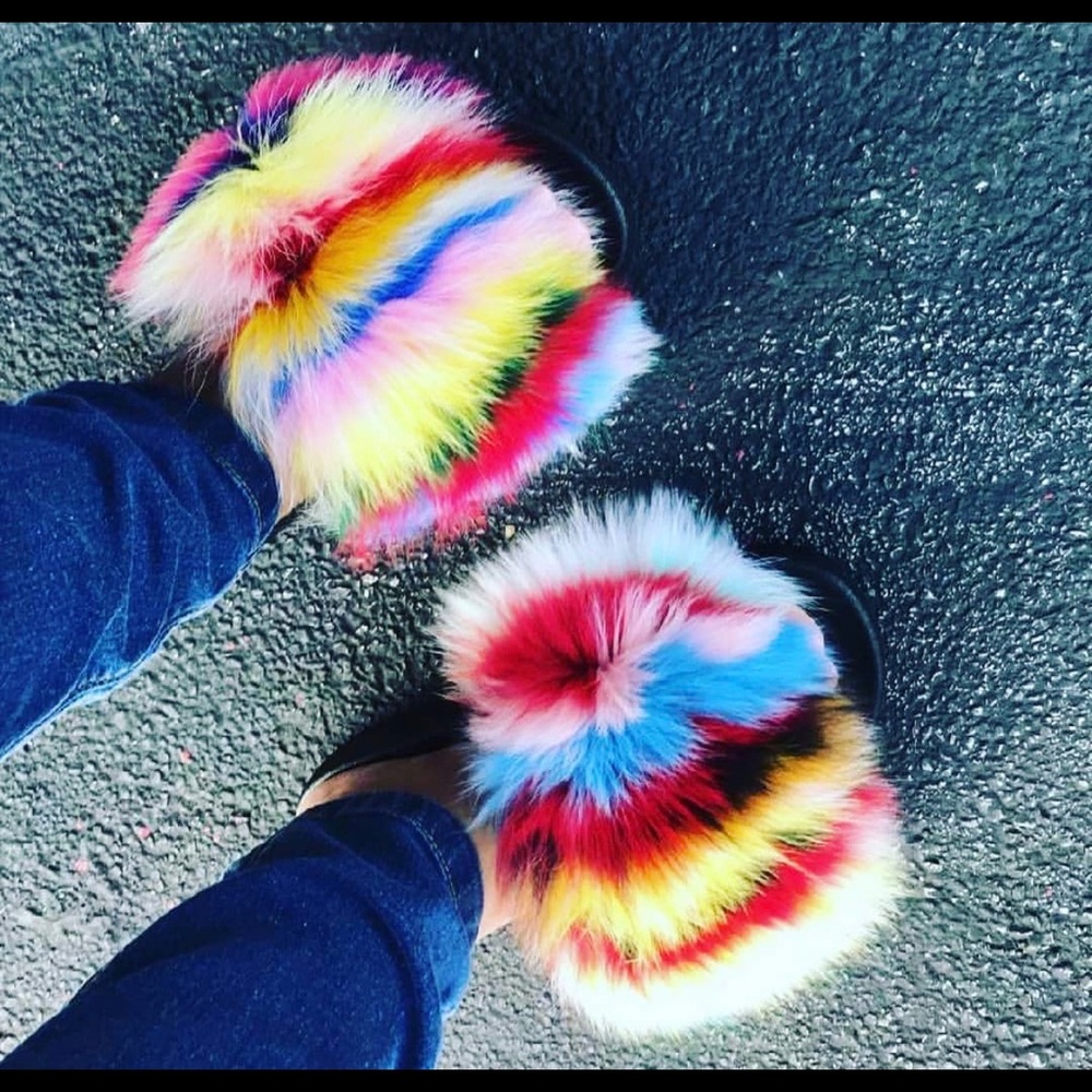 Rainbow Monkey Slides